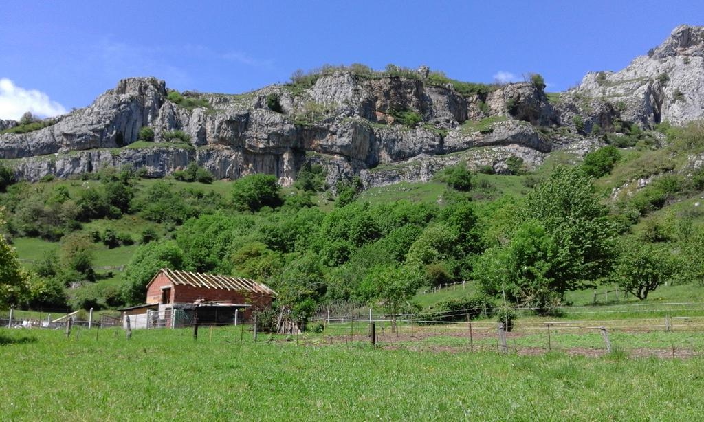 Country house Casa Narzana *